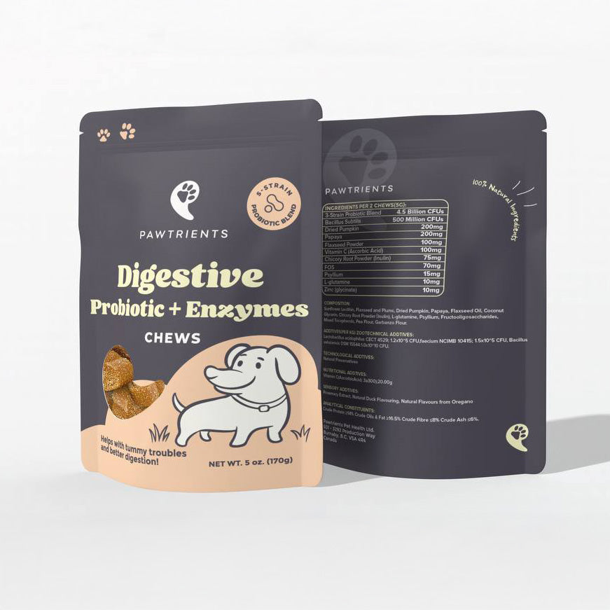Digestive Probiotic & Enzymes Chew